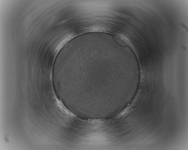 X0000100970946200807081216