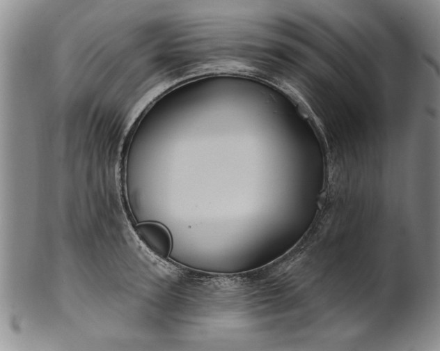 X0000100970947200807081216