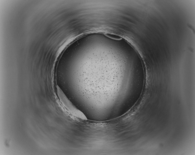 X0000100970949200807081216