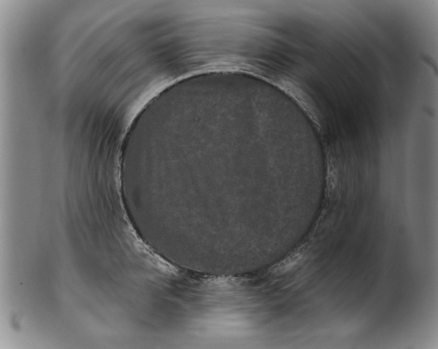 X0000100970950200807081216