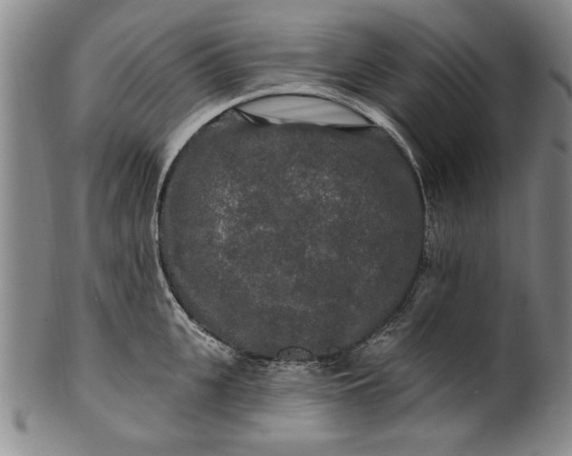 X0000100970951200807081216