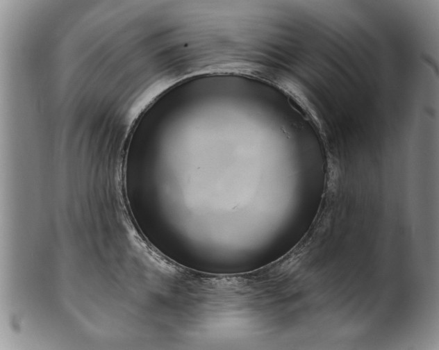 X0000100970952200807081216