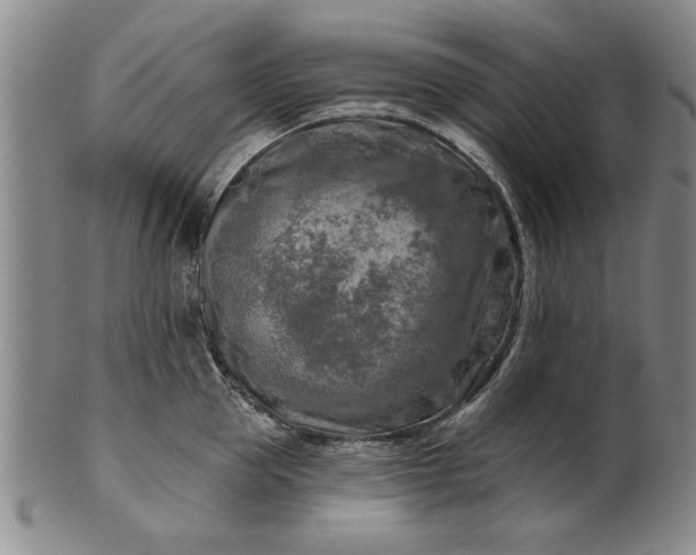 X0000100970953200807081216