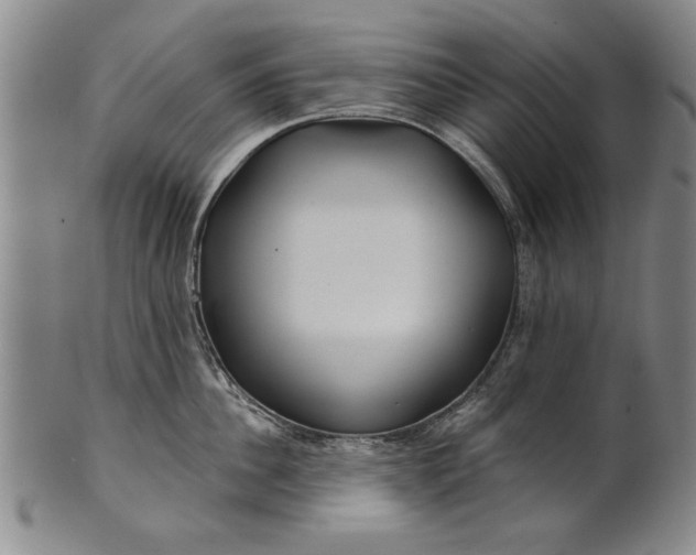 X0000100970956200807081216