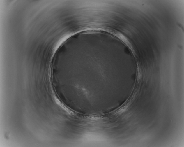 X0000100970958200807081216