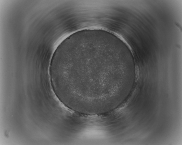 X0000100970959200807081216