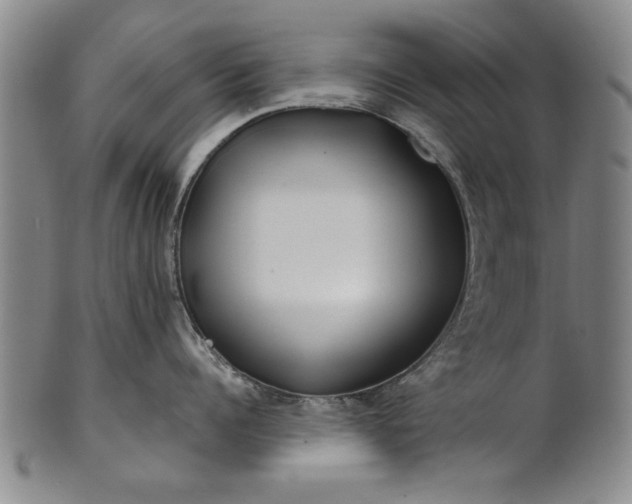 X0000100970960200807081216