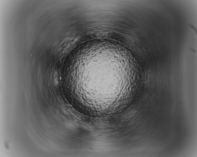 X0000100970962200807081215