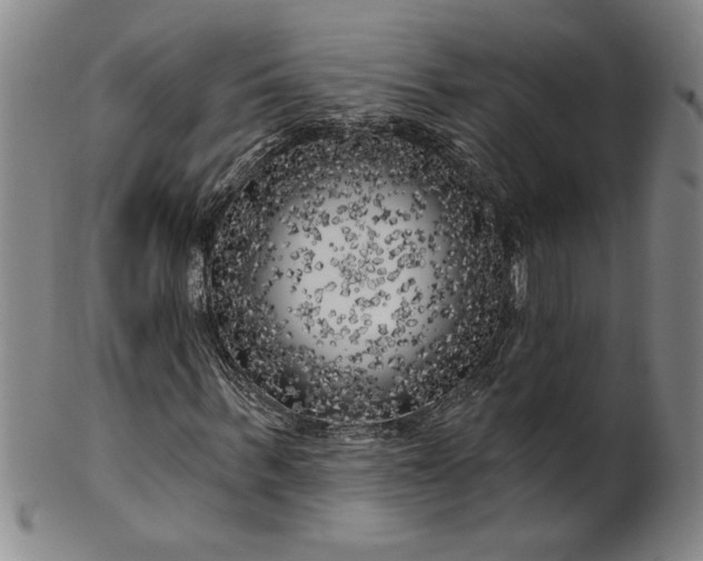 X0000100970963200807081215
