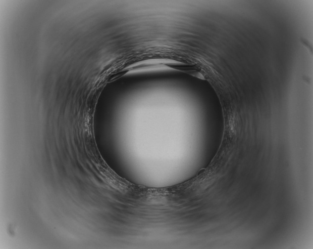 X0000100970964200807081215