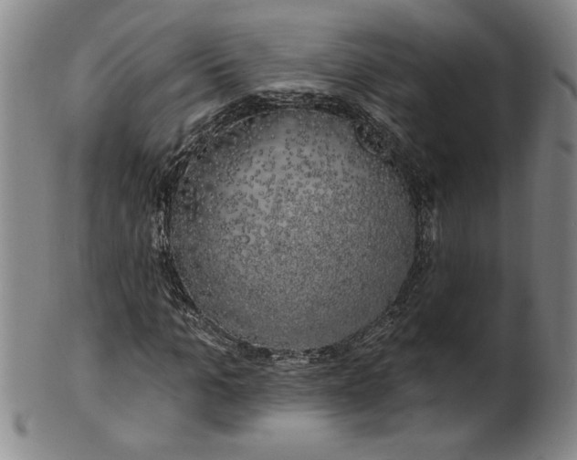 X0000100970965200807081215