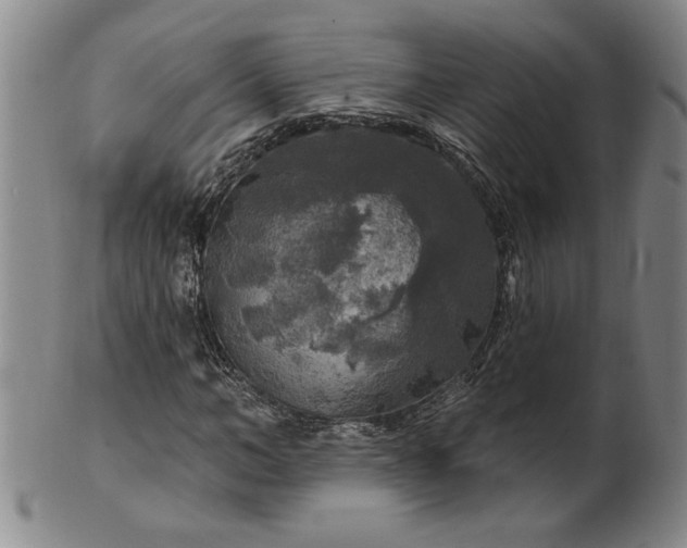 X0000100970966200807081215