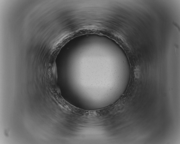 X0000100970968200807081215