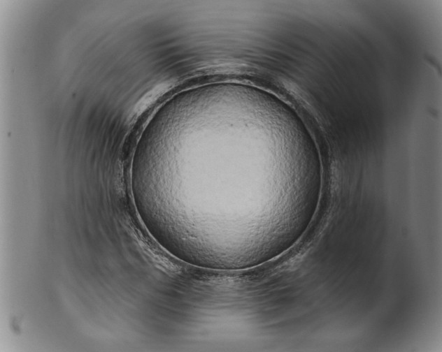 X0000100970970200807081215