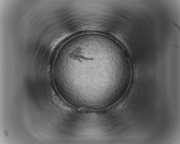 X0000100970971200807081215