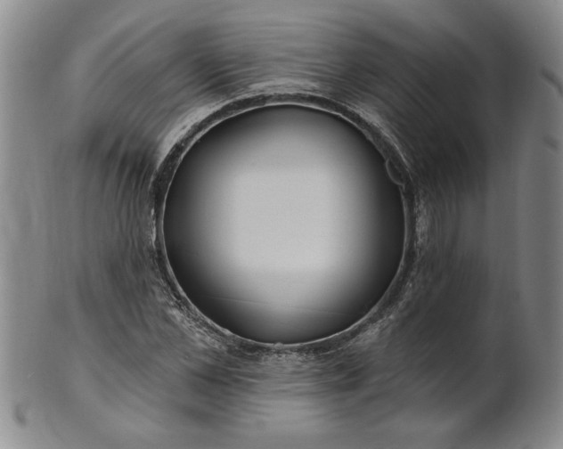 X0000100970973200807081215