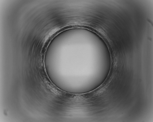 X0000100970974200807081215