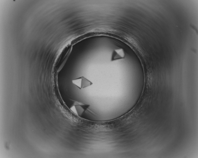 X0000100970976200807081215