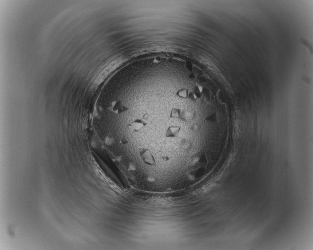 X0000100970977200807081215