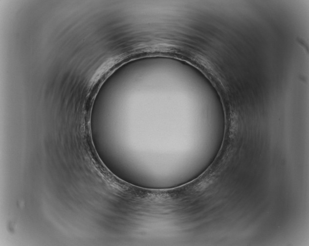 X0000100970978200807081215