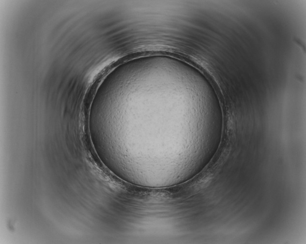 X0000100970979200807081215