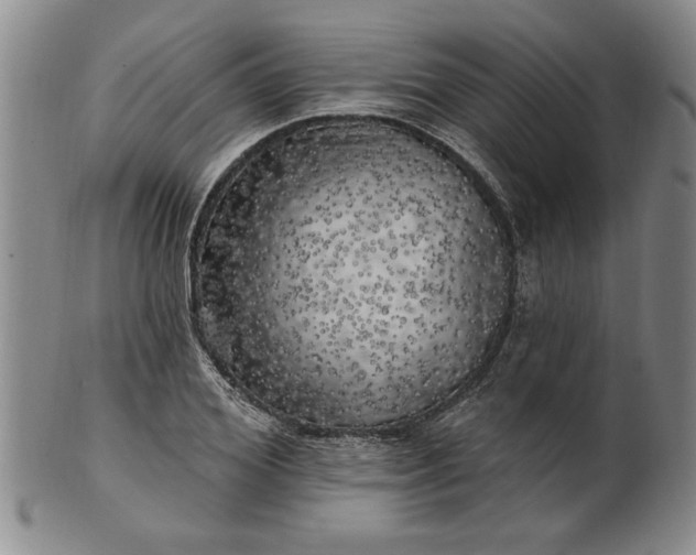 X0000100970980200807081215