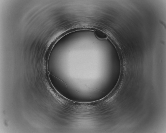 X0000100970981200807081215