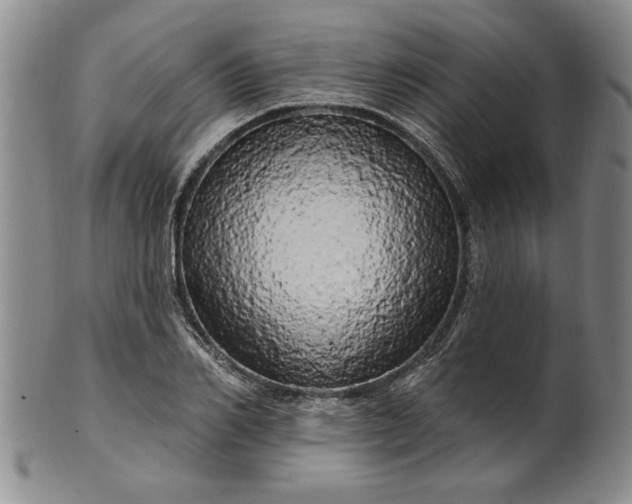 X0000100970982200807081215