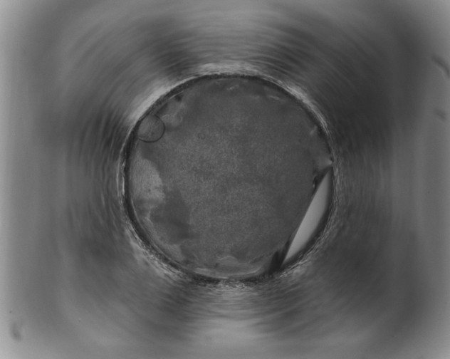 X0000100970983200807081215