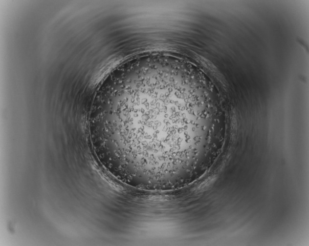 X0000100970985200807081215