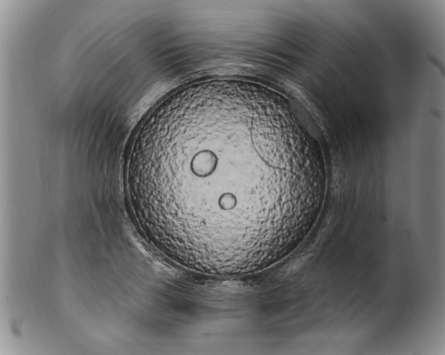 X0000100970986200807081215
