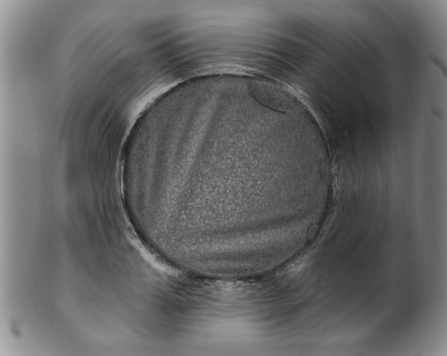 X0000100970987200807081215
