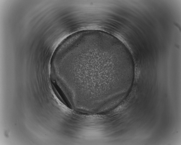X0000100970988200807081215