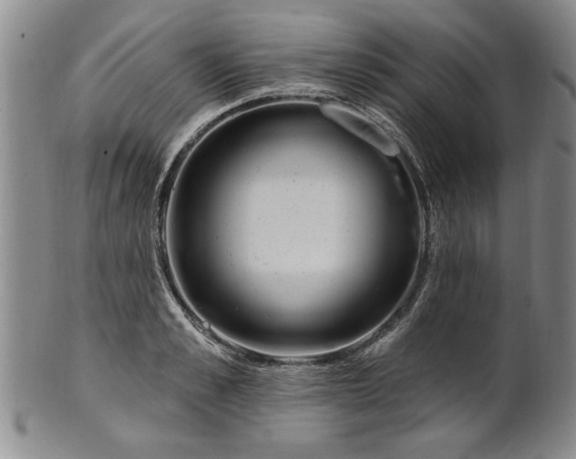 X0000100970989200807081215