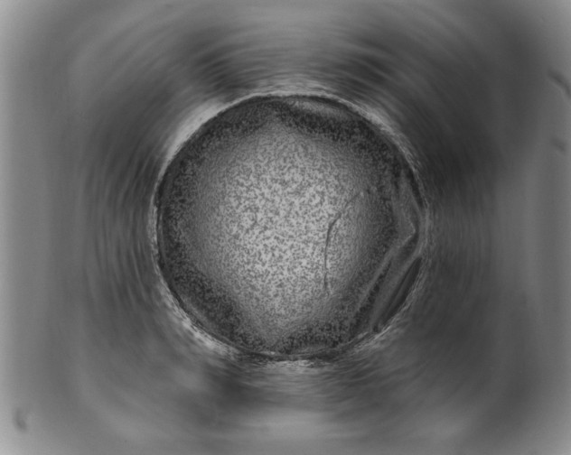 X0000100970990200807081215