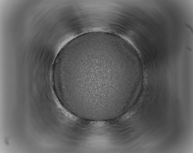 X0000100970991200807081215