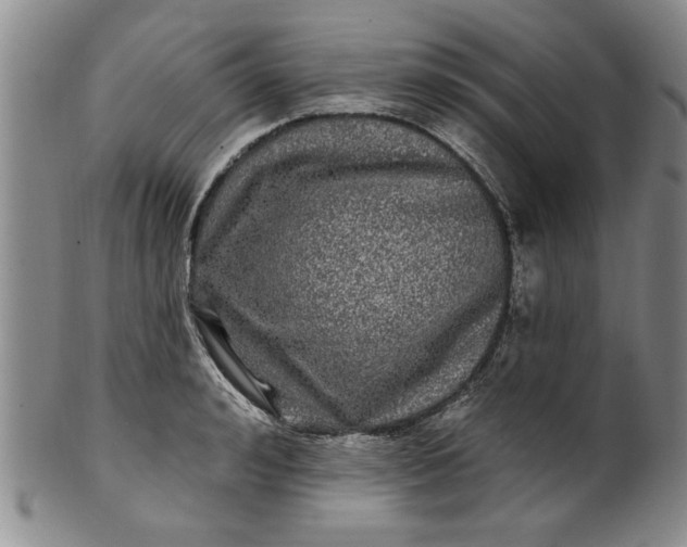 X0000100970992200807081215