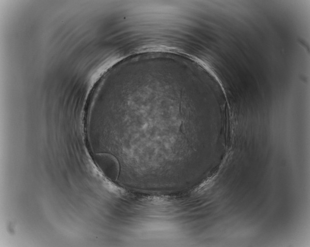 X0000100970995200807081215