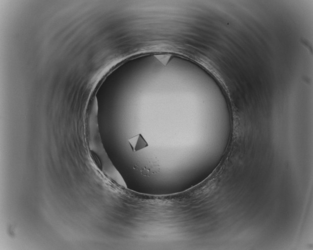 X0000100970996200807081215