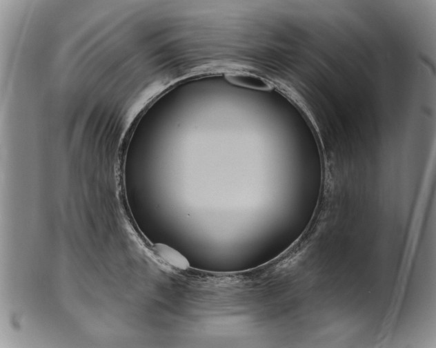 X0000100970997200807081215