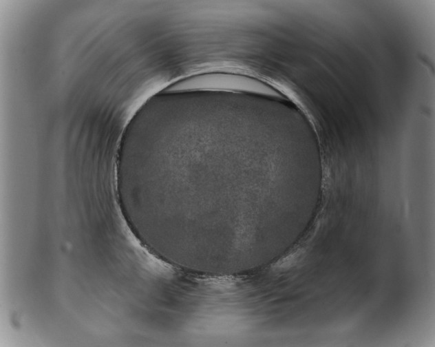 X0000100970999200807081215