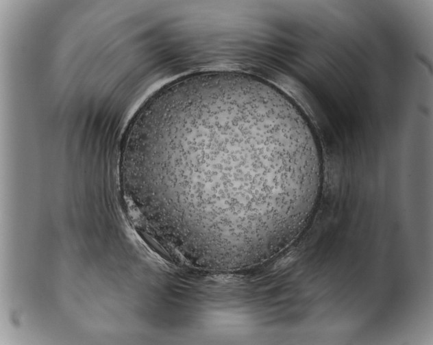 X0000100971000200807081215