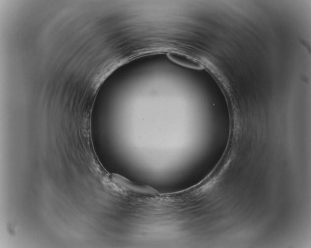 X0000100971001200807081215