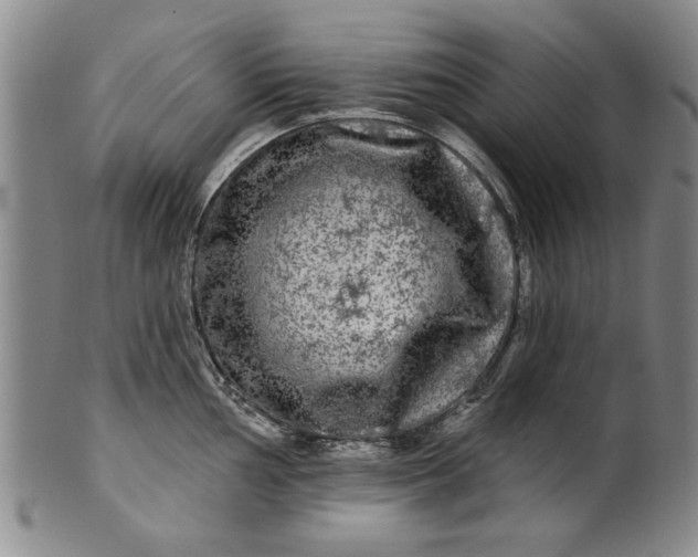 X0000100971002200807081215