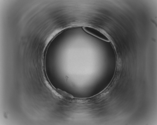 X0000100971005200807081214