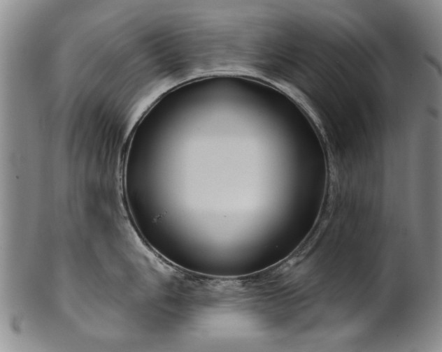 X0000100971006200807081214