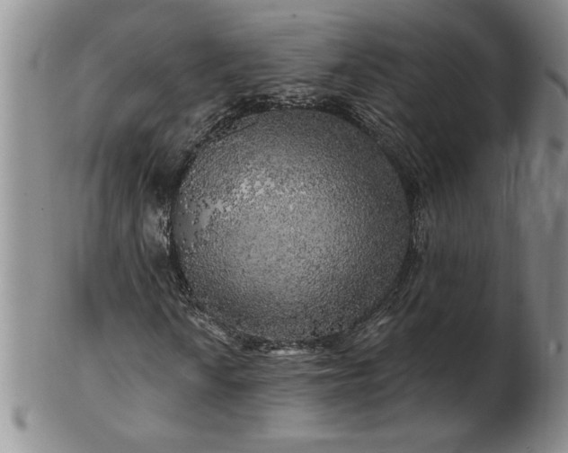 X0000100971010200807081214