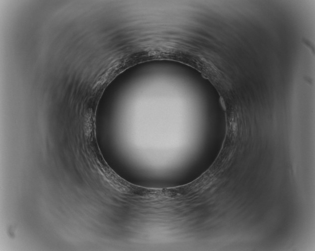 X0000100971012200807081214
