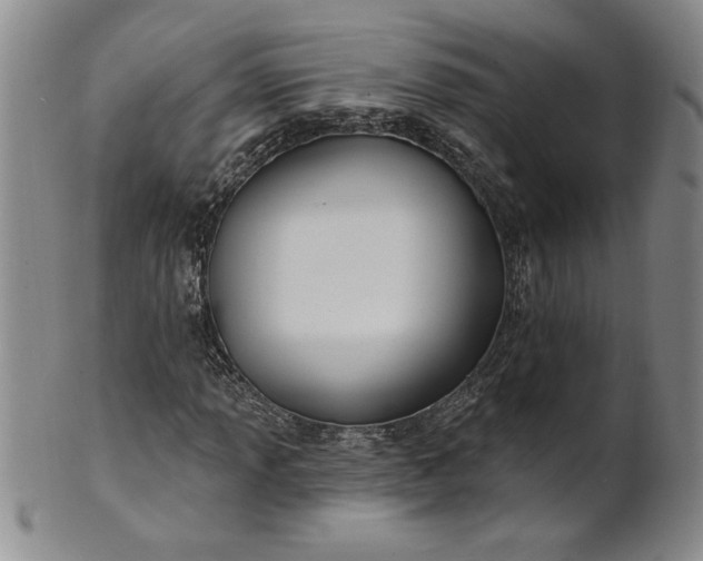 X0000100971013200807081214