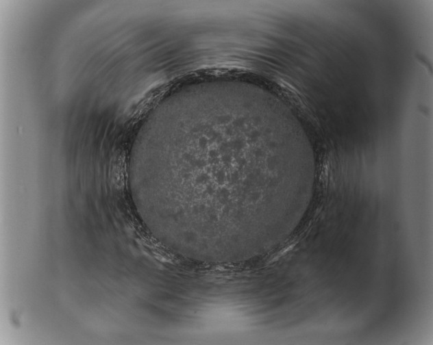 X0000100971014200807081214